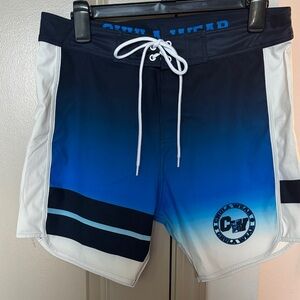 Chula Wear Men's Blue Swim Shorts